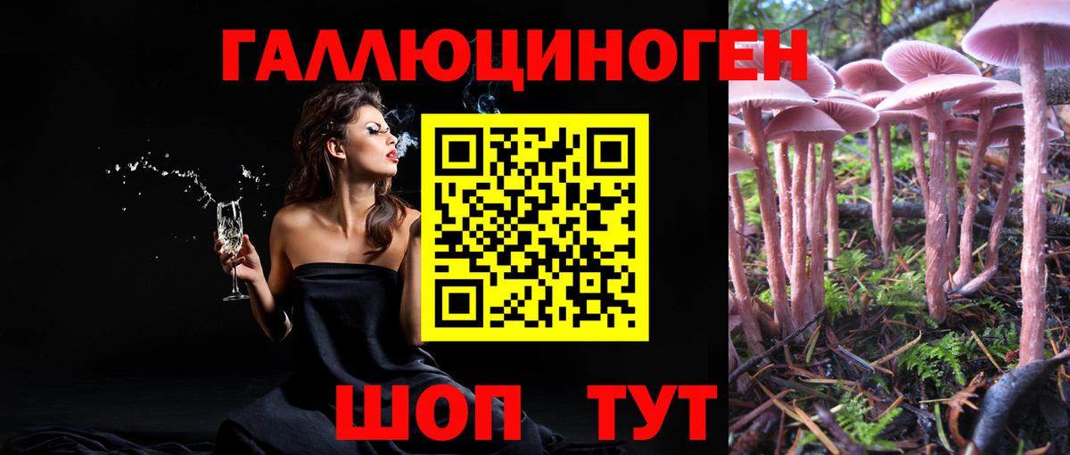 Альметьевск  Псилоцибиновые грибы мухоморы  Вход с VPN 